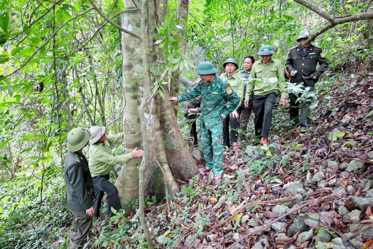Lực lượng phối hợp tuần tra bảo vệ rừng và PCCCR tại xã Kim Phú, tỉnh Quảng Trị.