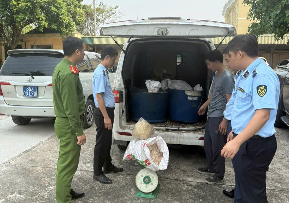 Hưng Yên: Phát hiện, tiêu hủy gần nửa tấn mỡ lợn, bì lợn ôi thiu trên xe ô tô