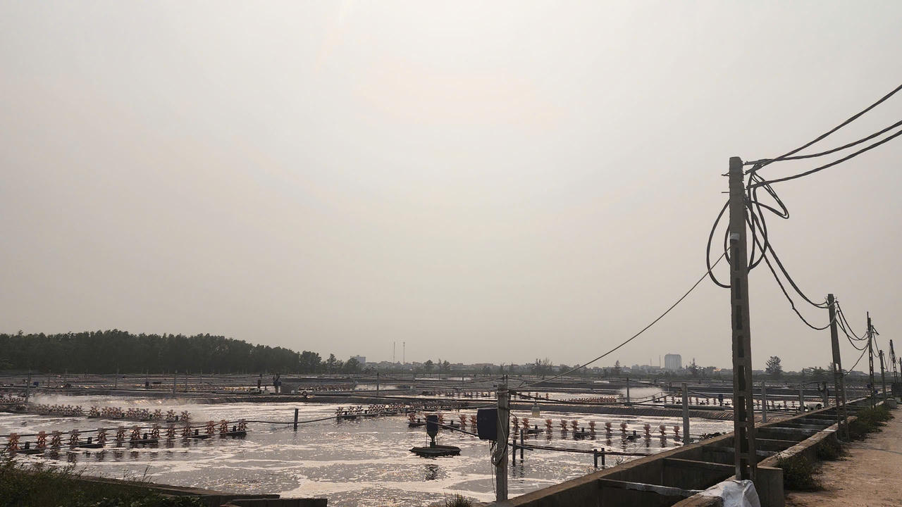 Công ty Intimex Việt Nam vi phạm môi trường, bị xử phạt 320 triệu đồng