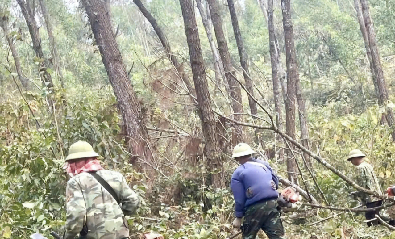 Công tác xử lý thực bì được triển khai.