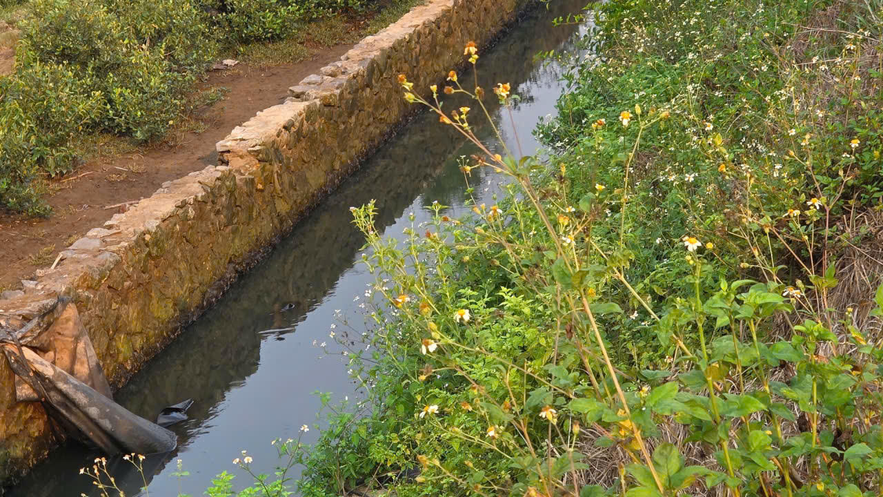 Công ty Intimex Việt Nam vi phạm môi trường, bị xử phạt 320 triệu đồng do chưa được cấp giấy phép môi trường.