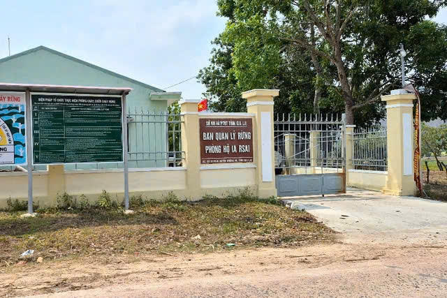 Khởi tố, bắt tạm giam một trưởng ban quản lý rừng phòng hộ ở Gia Lai