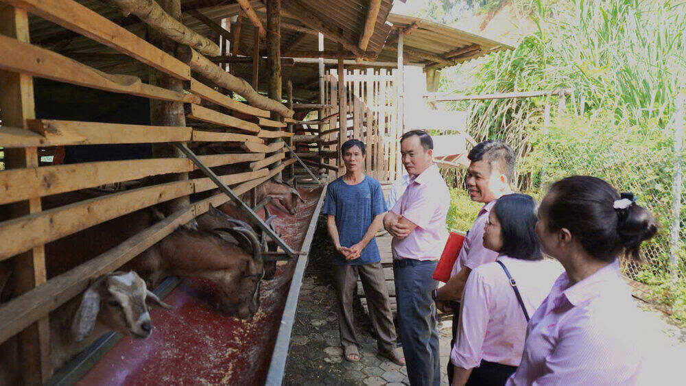 Dòng chảy tín dụng chính sách nơi trung du miền núi Thái Nguyên