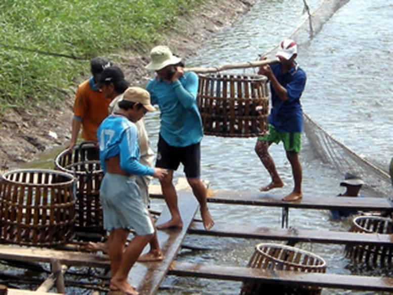 Chăn nuôi và thủy sản cũng được duy trì với quy mô đáng kể. (Ảnh minh hoạ)