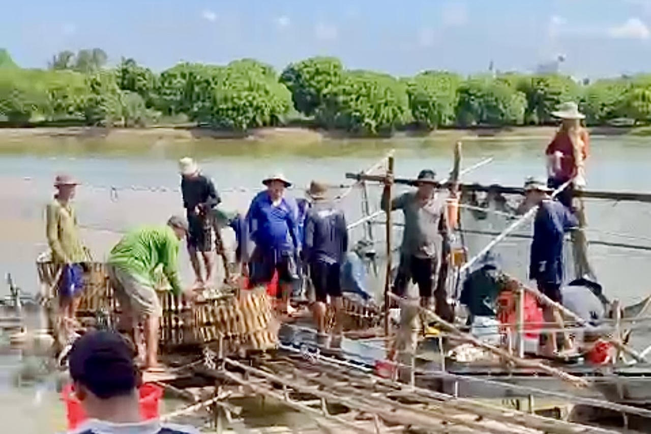 Diện tích nuôi trồng thủy sản đạt 17,1 ha, cá tra thương phẩm gần 10 ha.