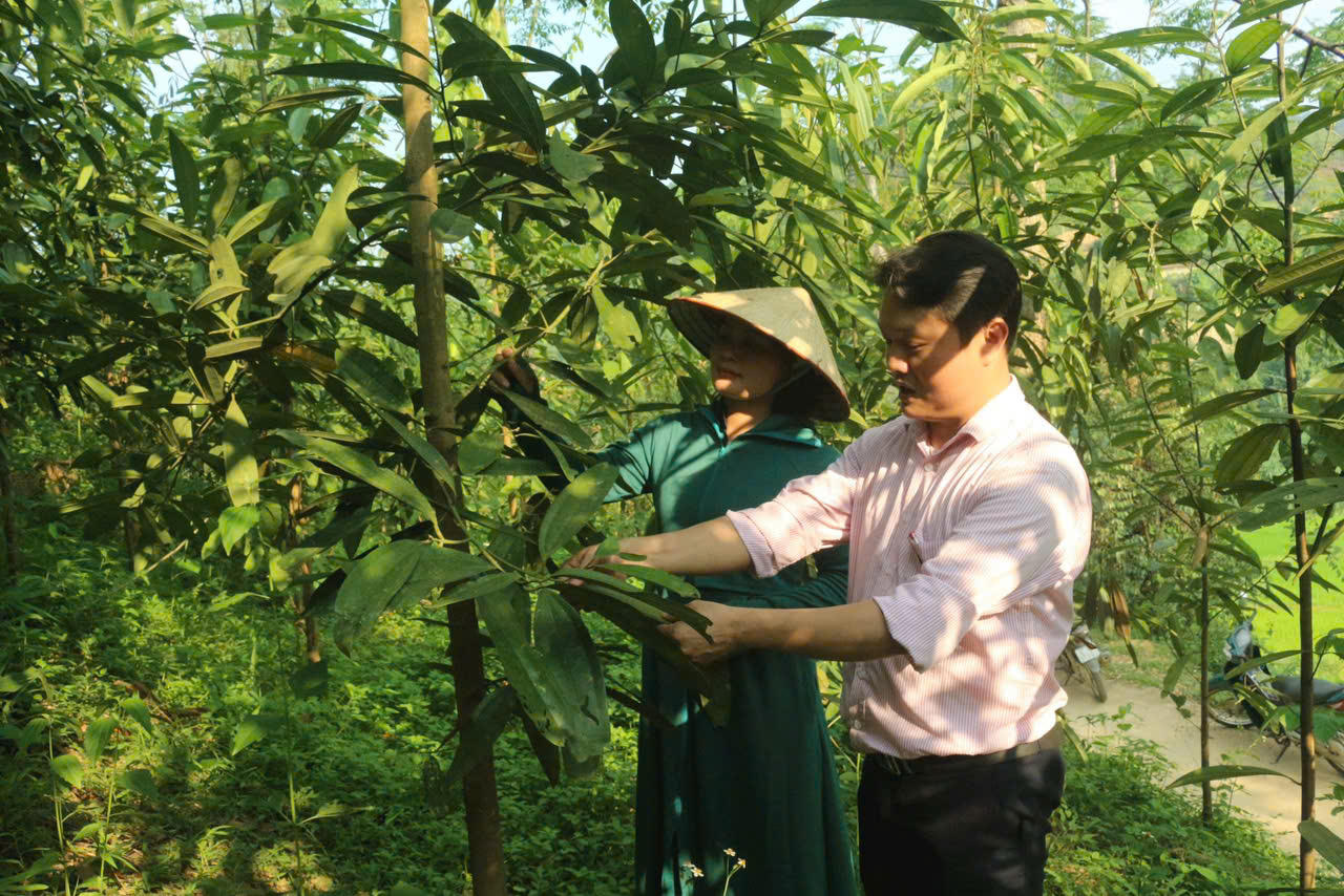 Dòng chảy tín dụng chính sách nơi trung du miền núi Thái Nguyên