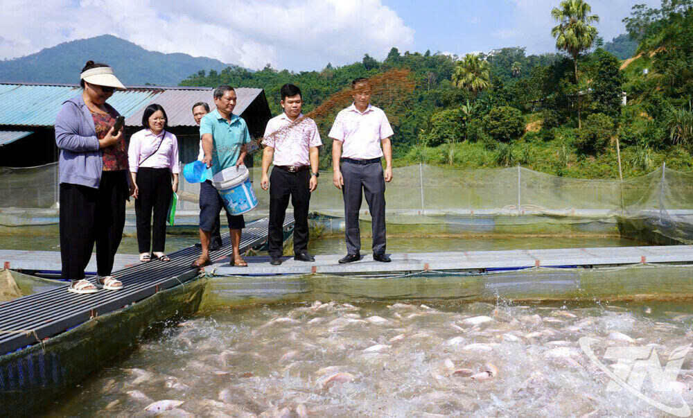 Dòng chảy tín dụng chính sách nơi trung du miền núi Thái Nguyên