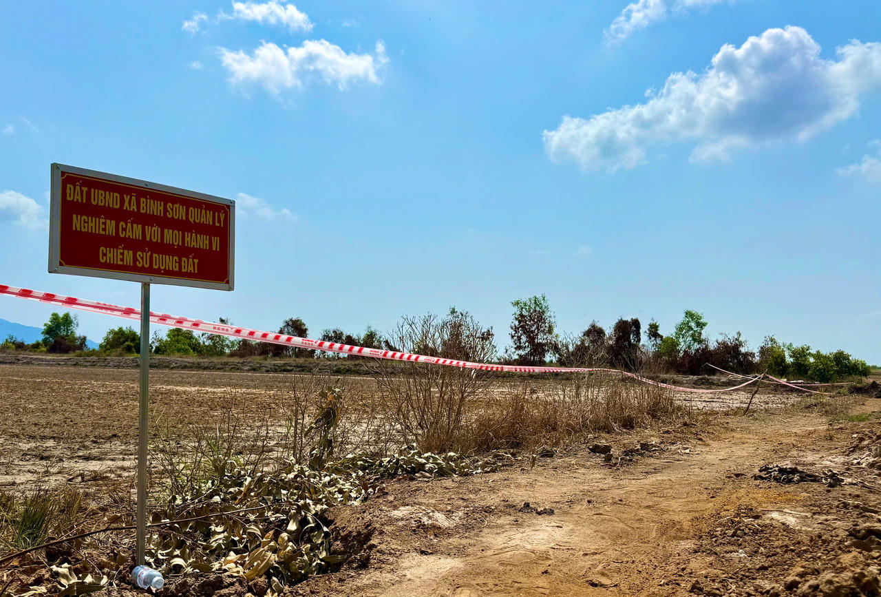 Khu đất người dân bao chiếm để trồng lúa.