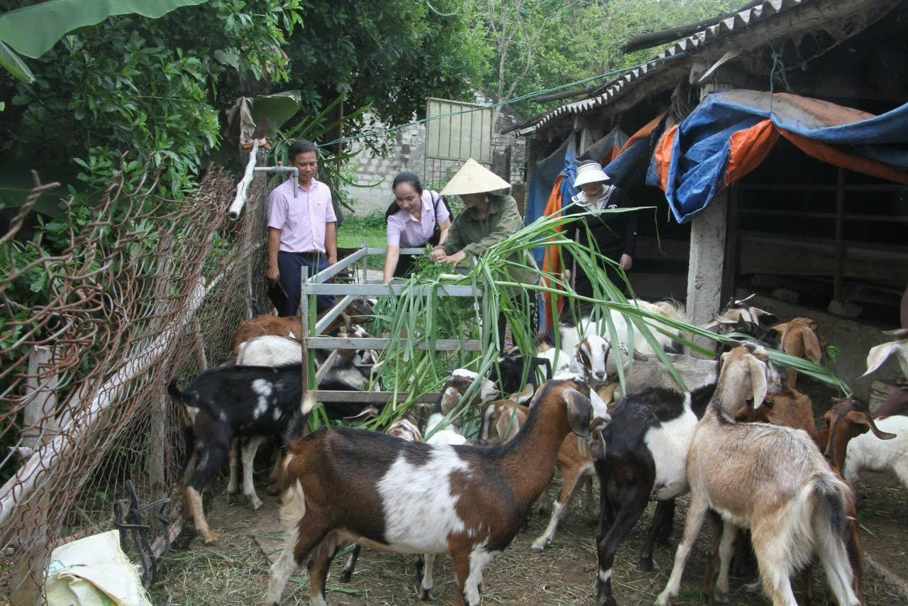 Cán bộ tín dụng NHCSXH Quỳnh Lưu thường xuyên bám sát cơ sở , giúp dân phát triển sản xuất , cải thiện cuộc sống.