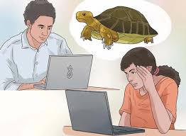 Chiến dịch truyền thông bảo vệ rùa 
