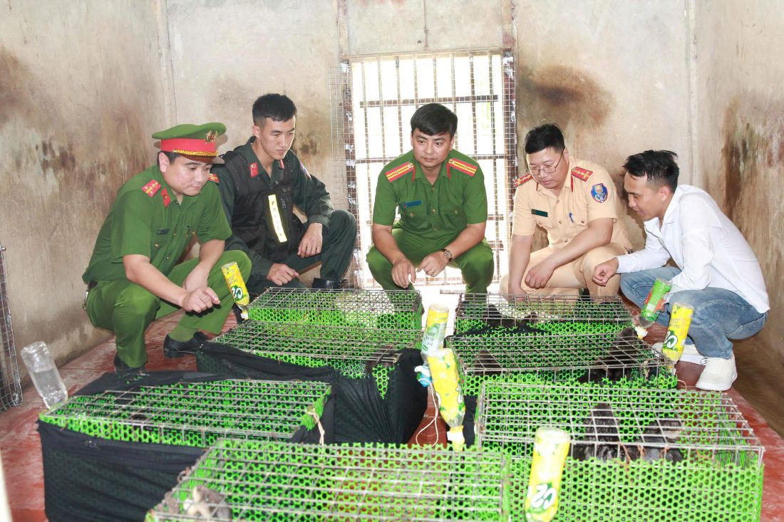 Dùng mạng xã hội buôn 200 cá thể động vật quý hiếm, vận chuyển xuyên Nam - Bắc