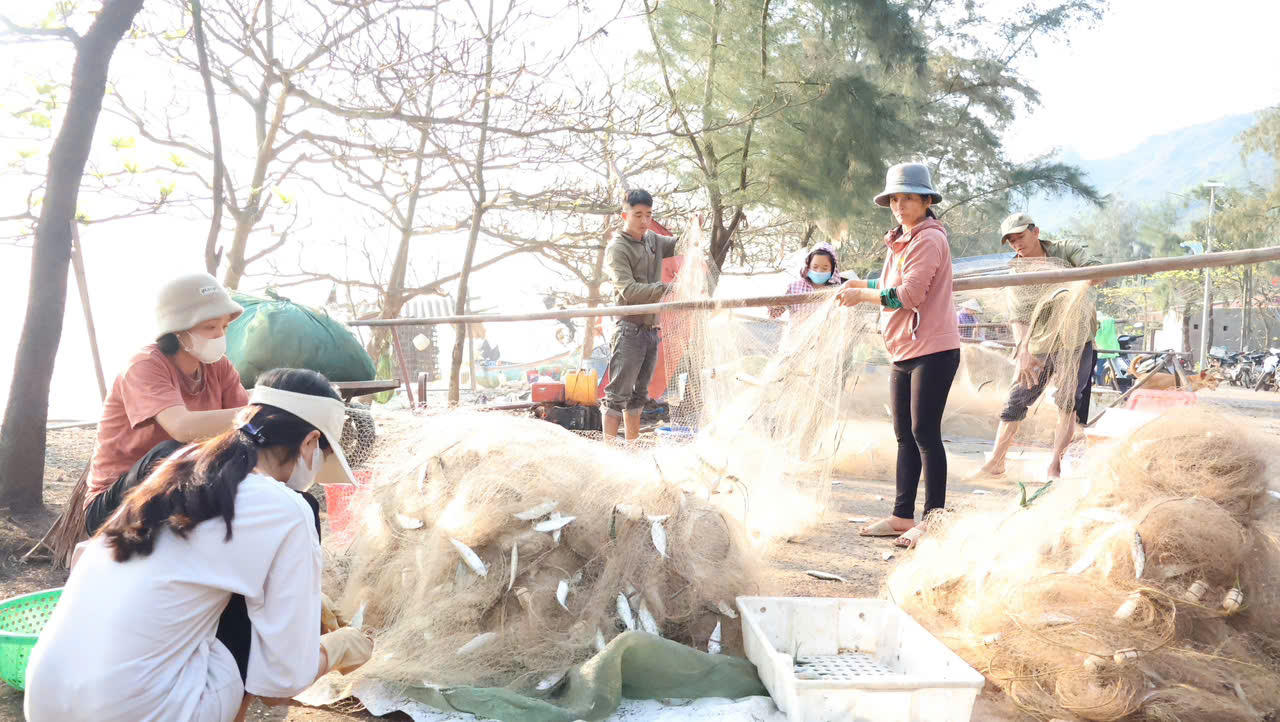 Tín dụng chính sách - 'đòn bẩy' giúp vùng đồng bằng, ven biển Quỳnh Lưu đổi thay