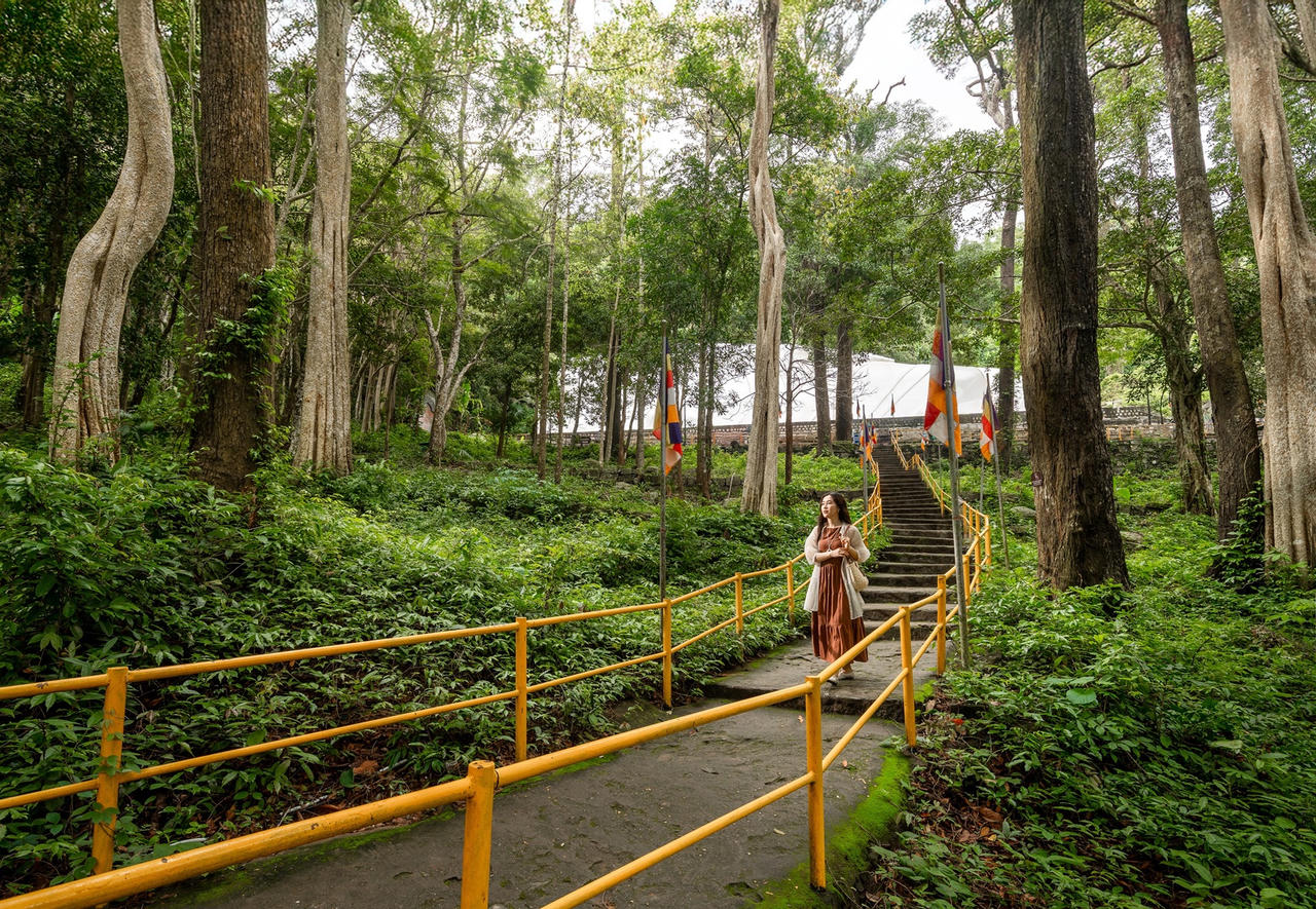 Đổi gió cho kỳ nghỉ dài cùng không khí trong lành tại TTC World - Tà Cú.