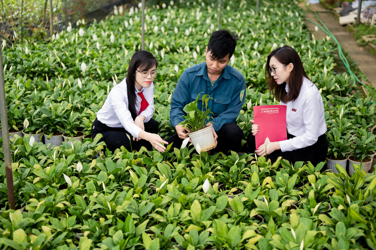 Agribank hướng dòng vốn vào lĩnh vực nông nghiệp xanh.