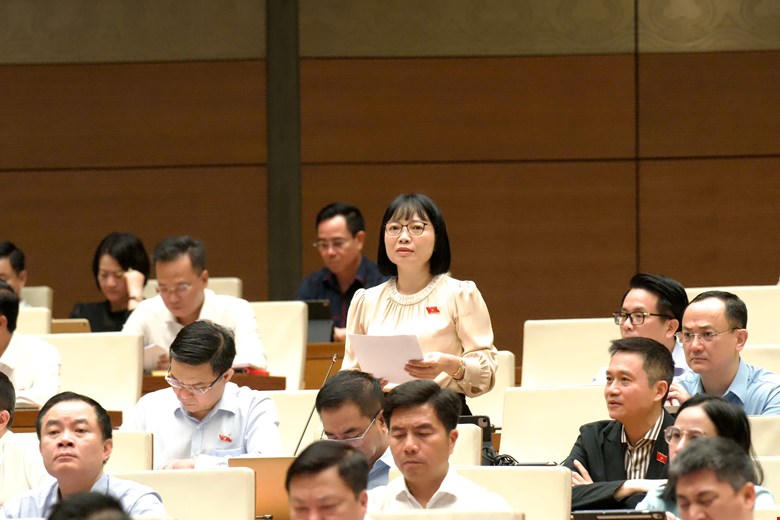 Đại biểu Nguyễn Thị Việt Nga.