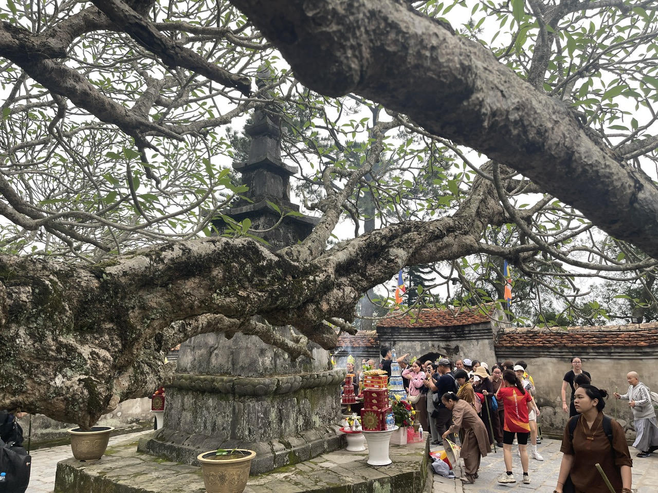  Hơn 1.000 runner Chinh phục đỉnh Phù Vân 