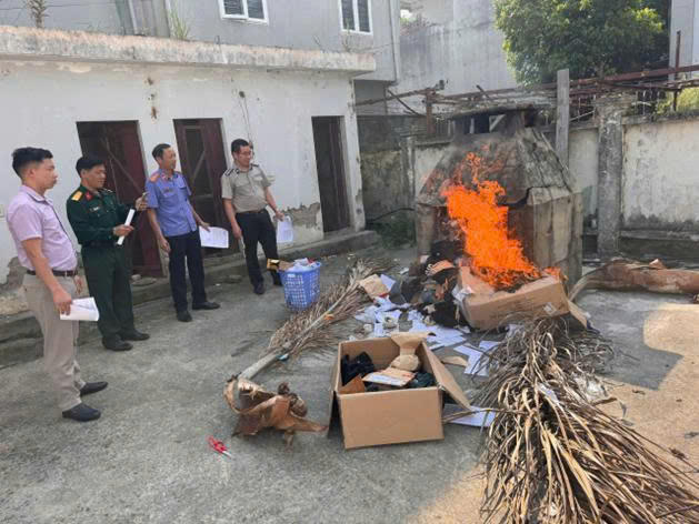 Hình ảnh cán bộ thi hành án dân sự tỉnh Lai Châu tiêu hủy tang vật.