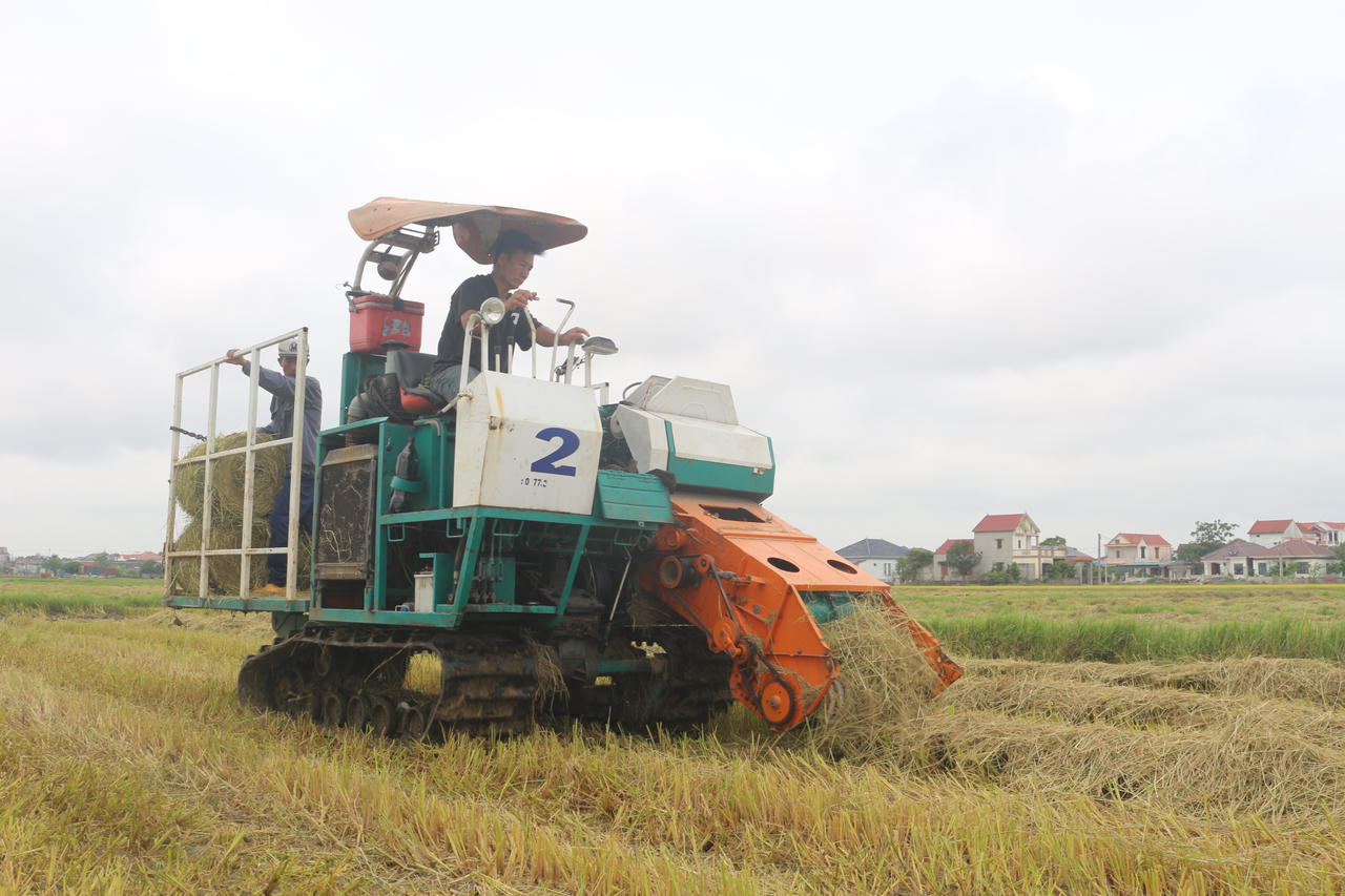 Rơm rạ được máy thu gom, cuộn thành từng bó ngay tại đồng ruộng, tạo nguồn hàng hóa sau mỗi mùa gặt.
