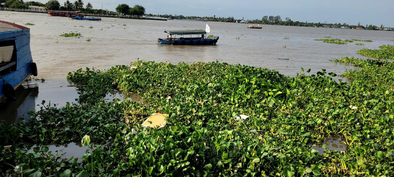 Lực lượng chức năng tỉnh Đồng Tháp đã tìm thấy thi thể của hai nạn nhân mất tích