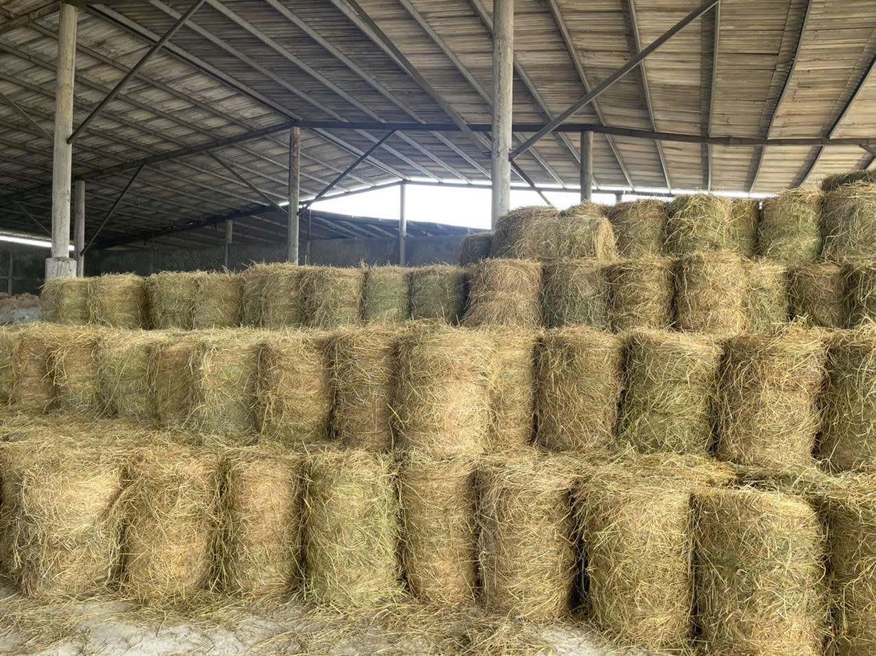 Một vòng quay mới trên đồng ruộng Quảng Trị