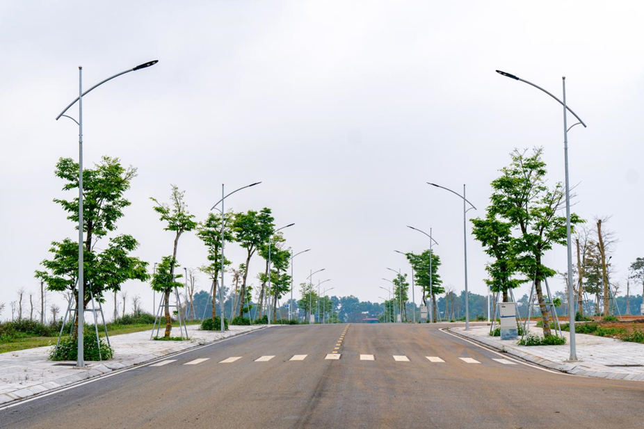 Dọc theo đại lộ xanh mát – mỗi bước chân là một hành trình tiến gần hơn đến giá trị sống chuẩn mực