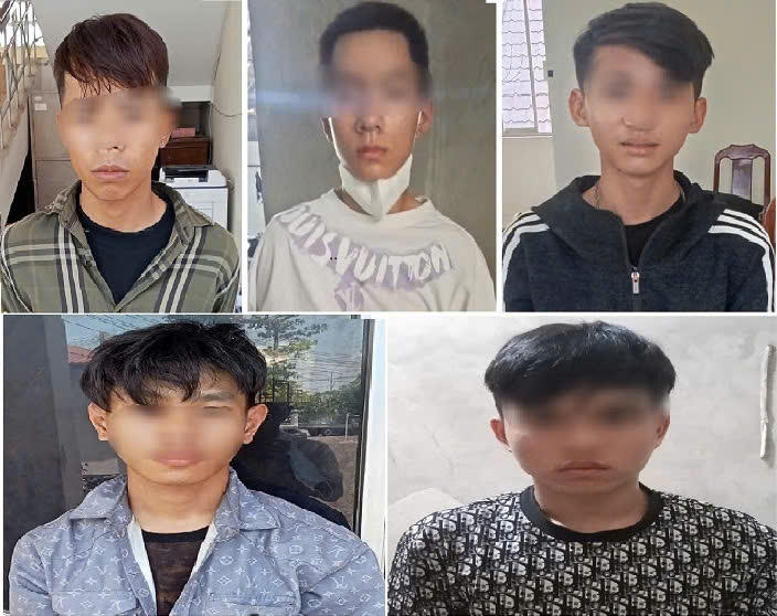 Nhóm 5 đối tượng&nbsp;gây ra 10 vụ cướp tài sản liên tỉnh