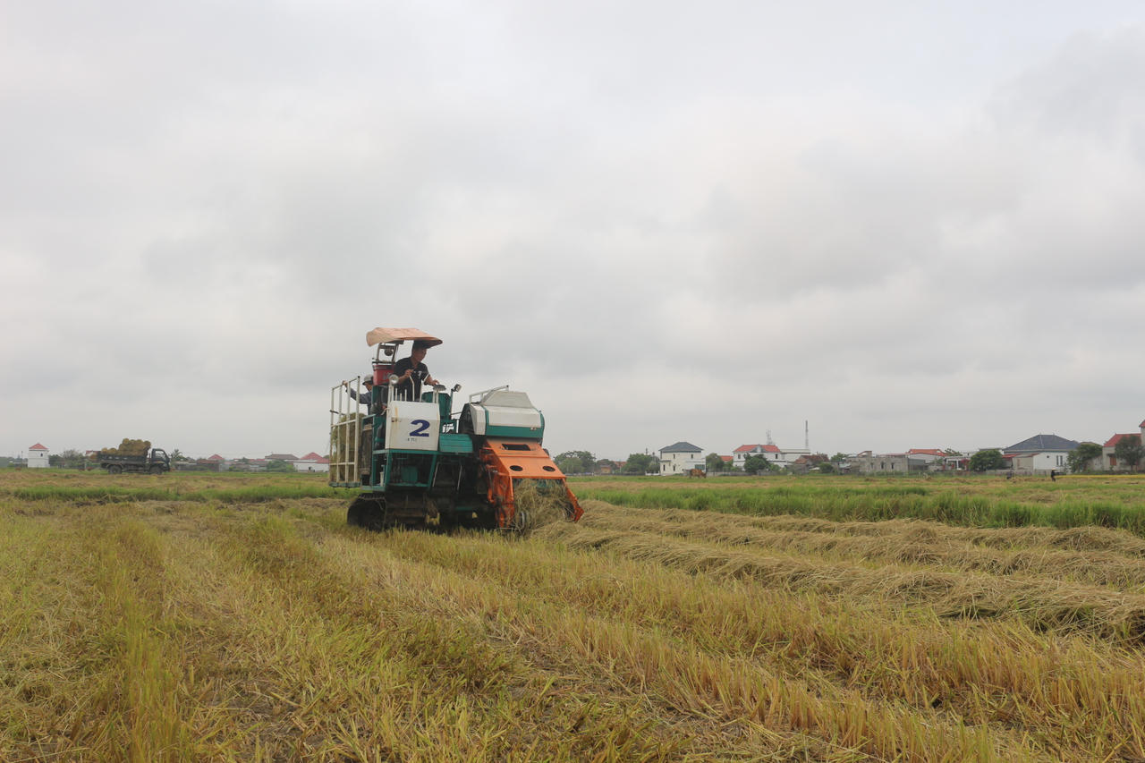 Công ty TNHH Đoàn kết Phú Quý đầu tư máy cuốn rơm hỗ trợ thu gom rơm rạ cho nông dân.