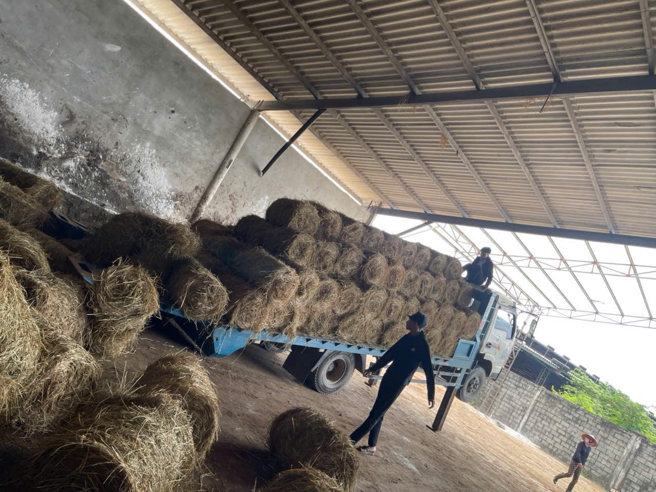 Một vòng quay mới trên đồng ruộng Quảng Trị