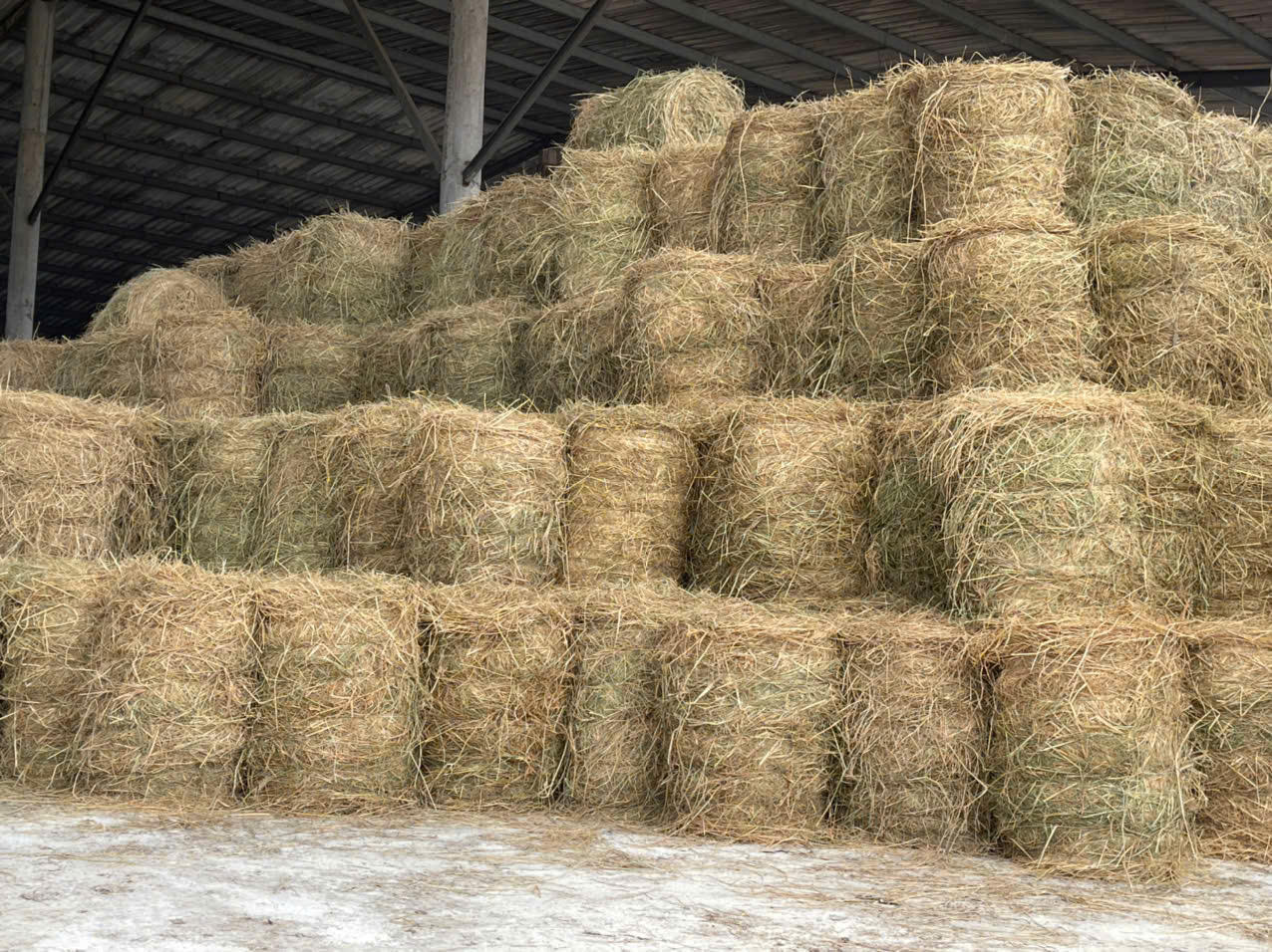 Một vòng quay mới trên đồng ruộng Quảng Trị