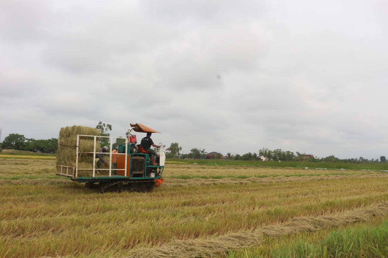 Một vòng quay mới trên đồng ruộng Quảng Trị