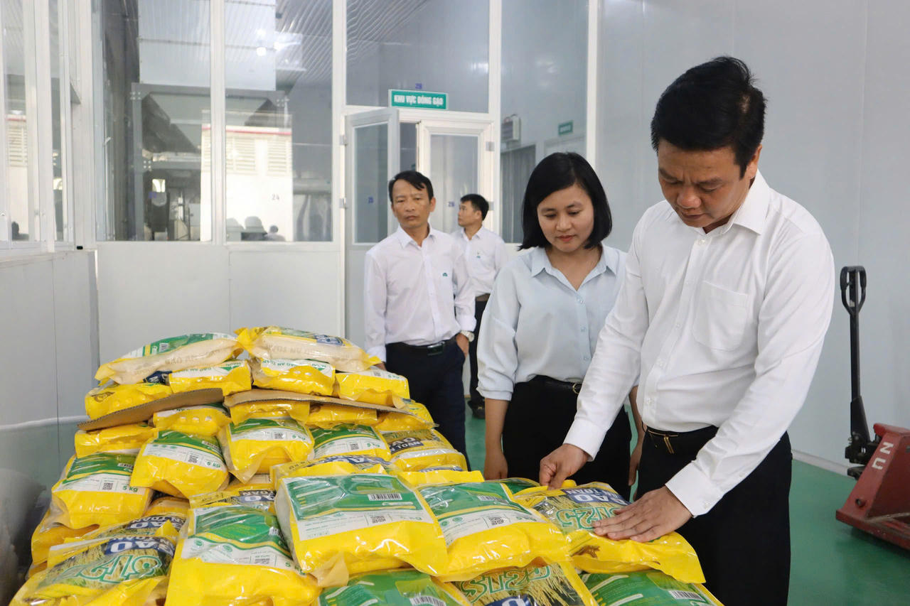 Ông Trần Quốc Tuấn, Giám đốc Sở Nông nghiệp và Môi trường tỉnh Quảng Trị (hàng đầu) kiểm tra, đánh giá chất lượng sản phẩm gạo sau chế biến.