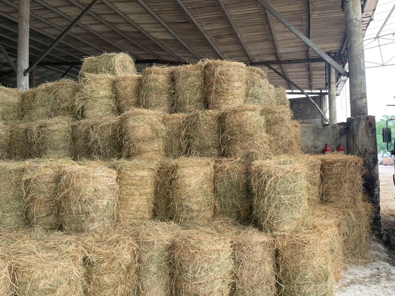 Một vòng quay mới trên đồng ruộng Quảng Trị