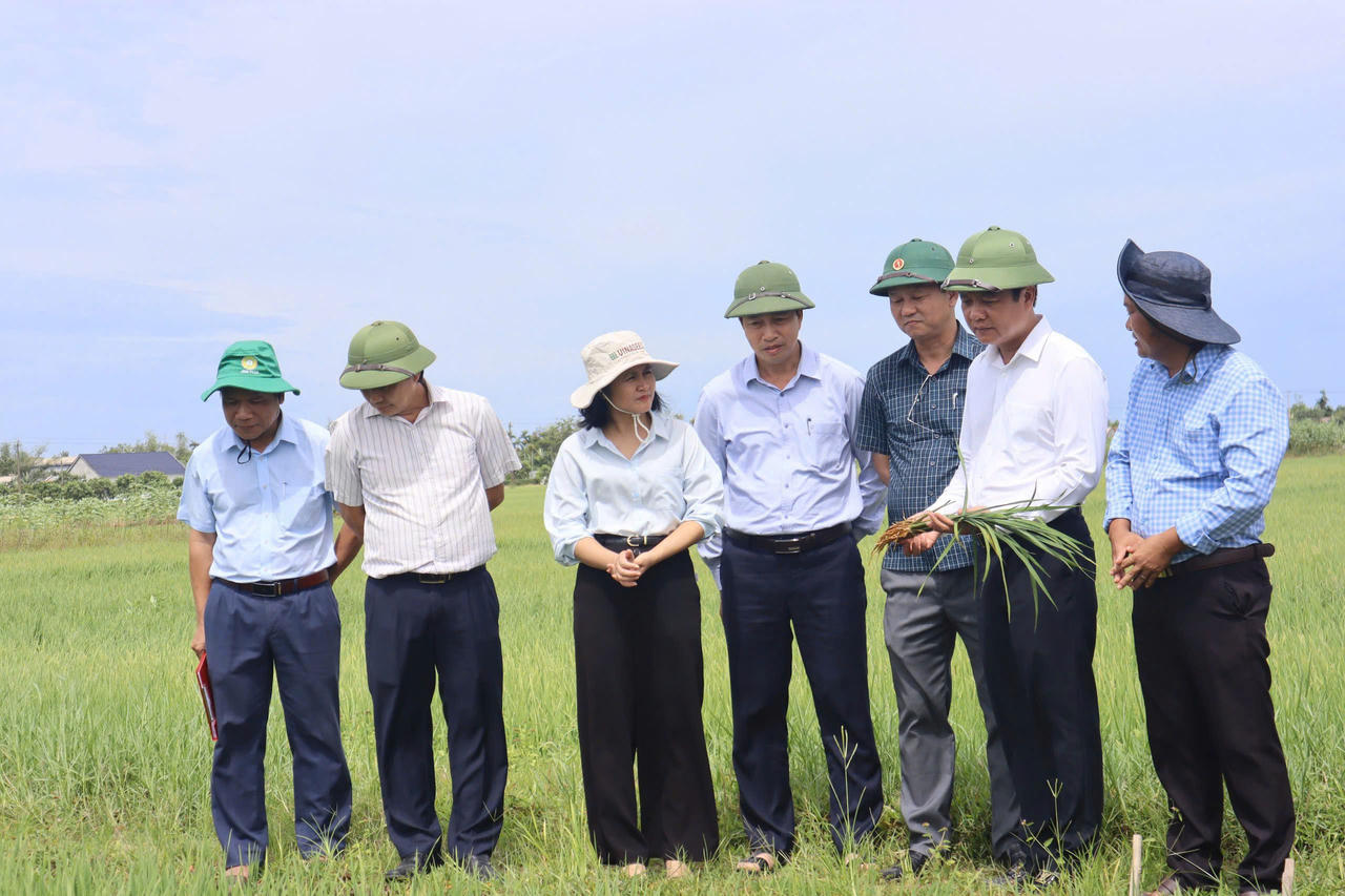 Ông Trần Quốc Tuấn, Giám đốc Sở Nông nghiệp và Môi trường tỉnh Quảng Trị (thứ 2 từ phải sang) kiểm tra tình hình sản xuất nông nghiệp tại cơ sở.