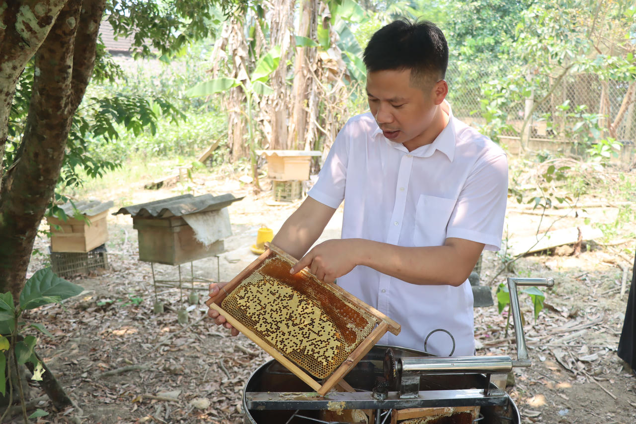 Ông Nguyễn Văn Cường, Chủ HTX mật ong Cường Nga Hương Sơn.