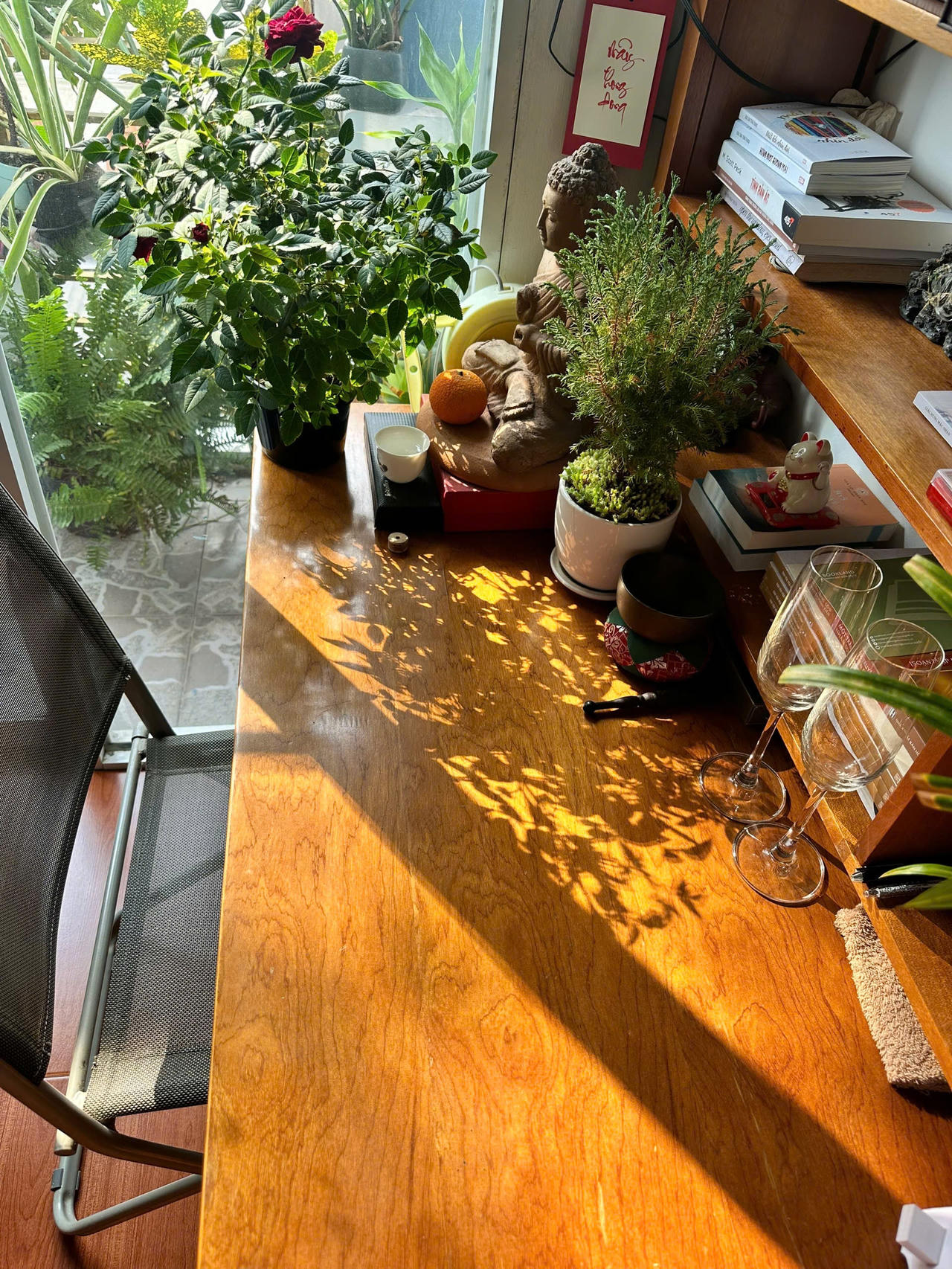 Trang nghiêm nơi mình sống 1