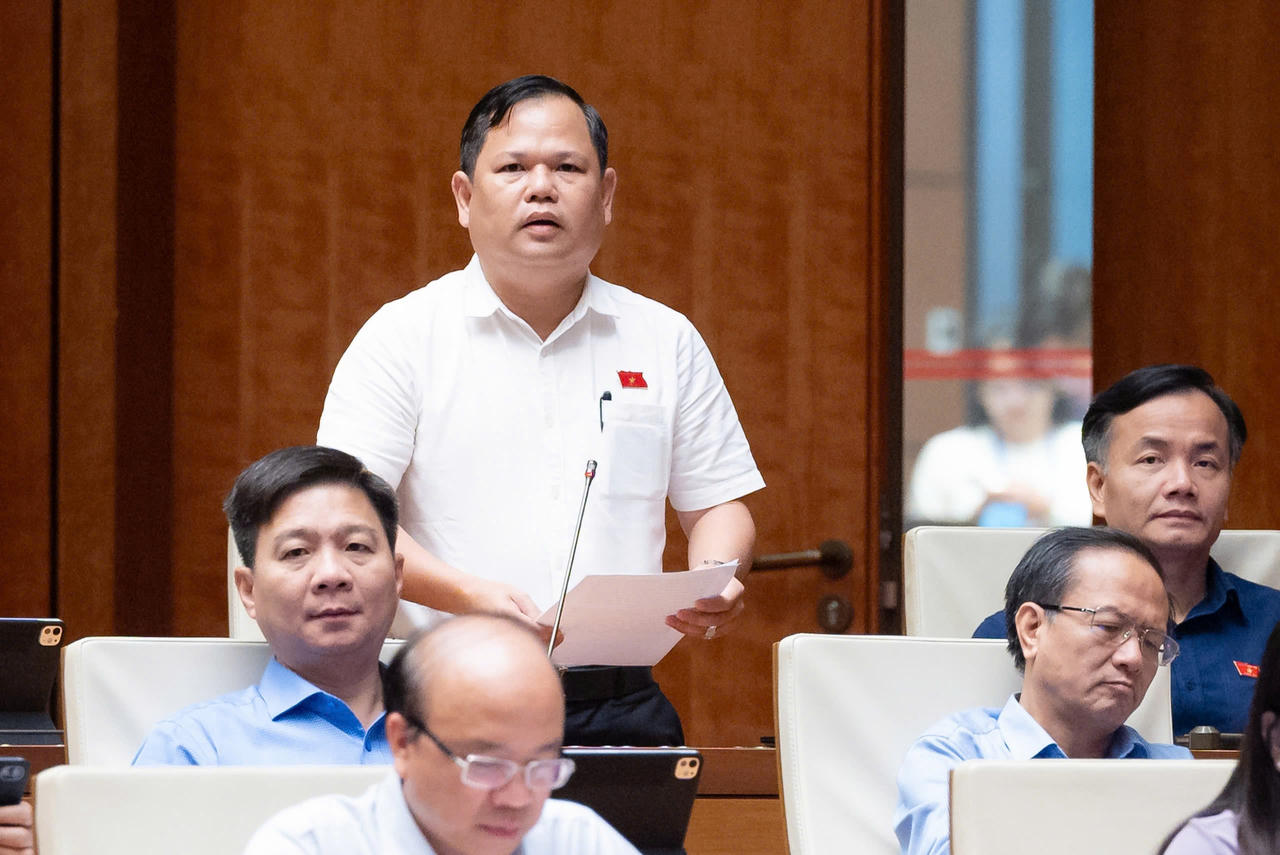 Đại biểu Nguyễn Duy Thanh.