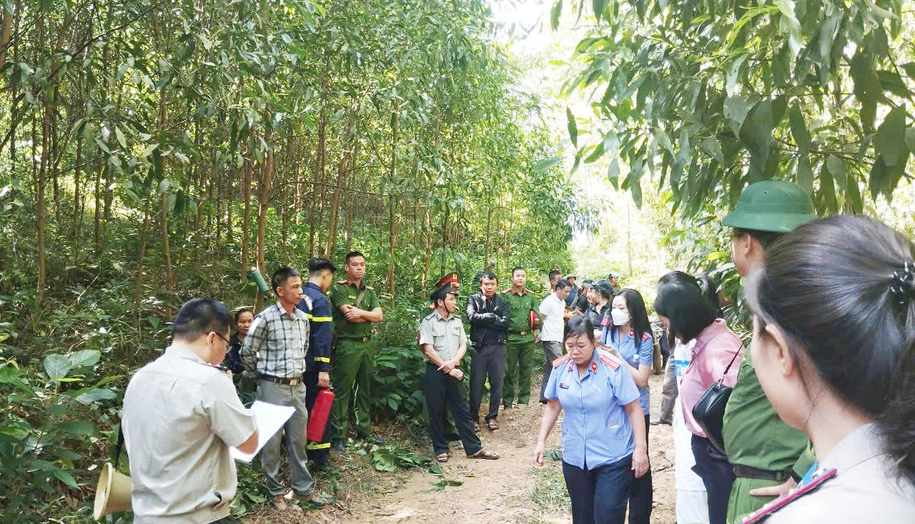 Một vụ cưỡng giao đất rừng do ông Hoàng Danh Trung cùng các cán bộ THADS khu vực 8 phối hợp các lực lượng thực hiện&nbsp;