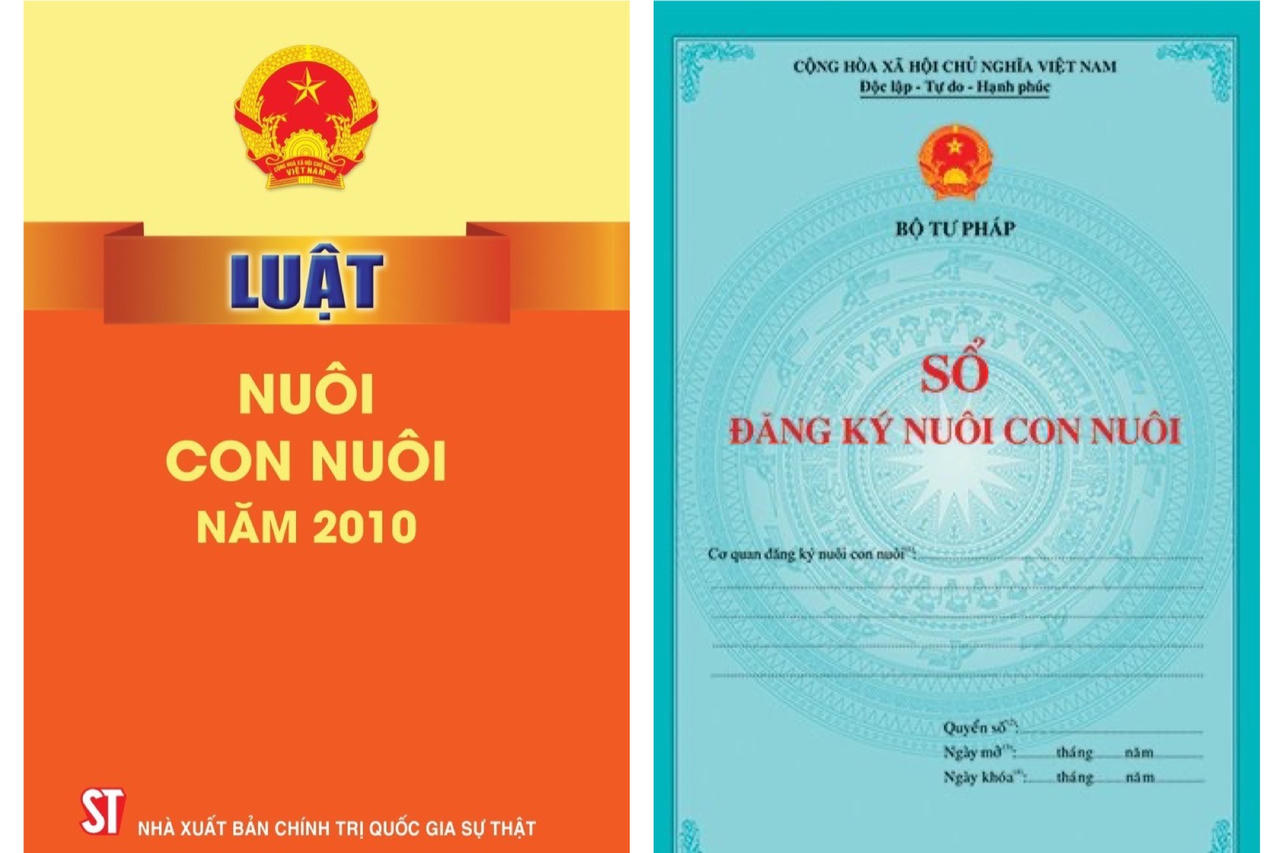 Sửa đổi Luật Nuôi con nuôi: Không thể chậm hơn khi thực tiễn đã đi trước pháp luật