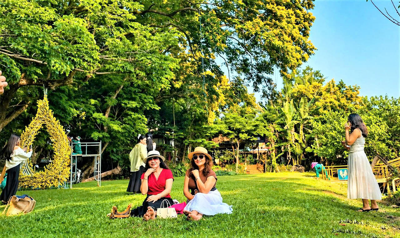 Rộn ràng sắc sưa Hương Trà- Đà Nẵng năm 2026