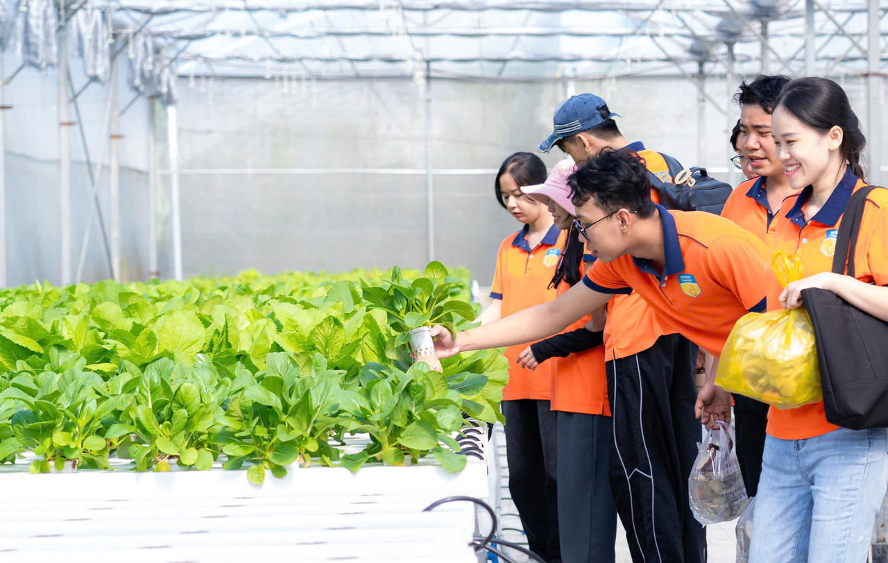 Ứng dụng mô hình canh tác nông nghiệp công nghệ cao đang được áp dụng tại TP Hồ Chí Minh.  (Ảnh trong bài: Trường Giang)