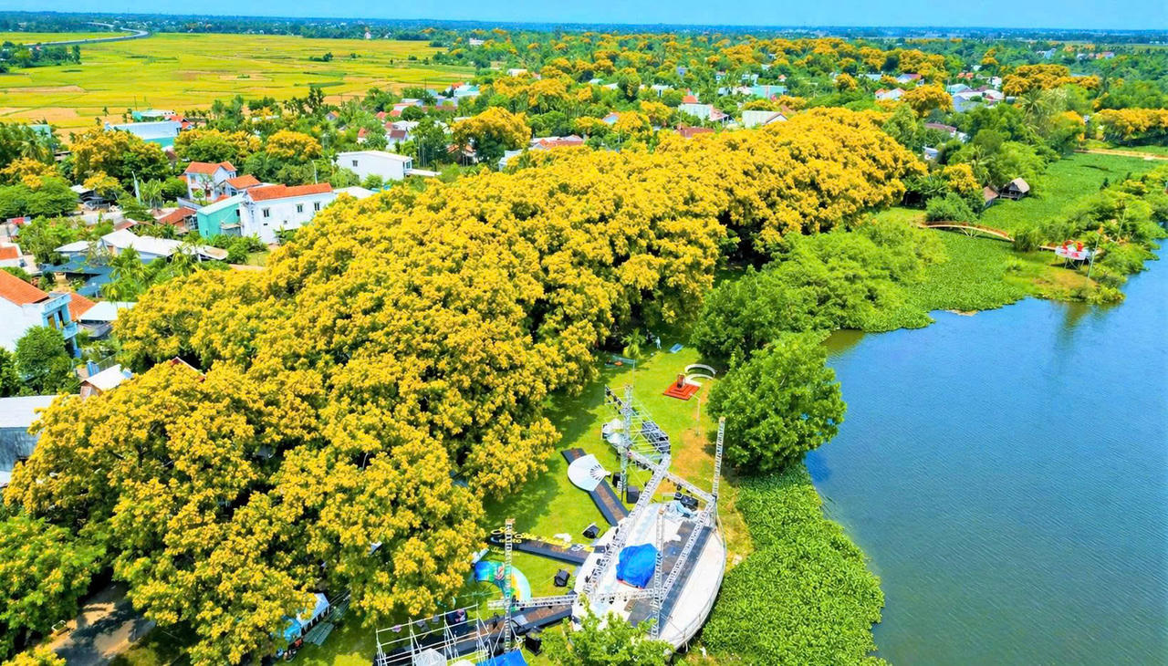 Lễ hội “Sắc sưa Hương Trà- Đà Nẵng 2026” diễn ra từ ngày 24 đến 26/4.