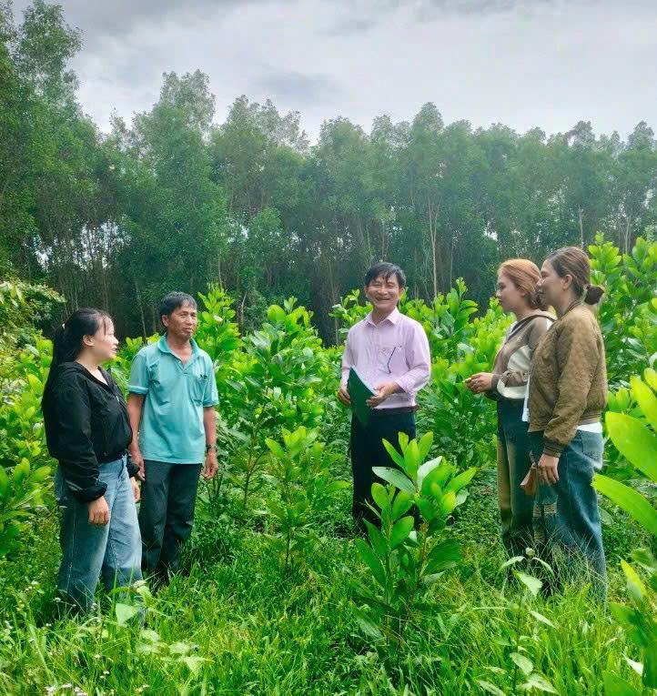 Dấu ấn nổi bật trong hoạt động tín dụng chính sách trên vùng sơn cước An Khê