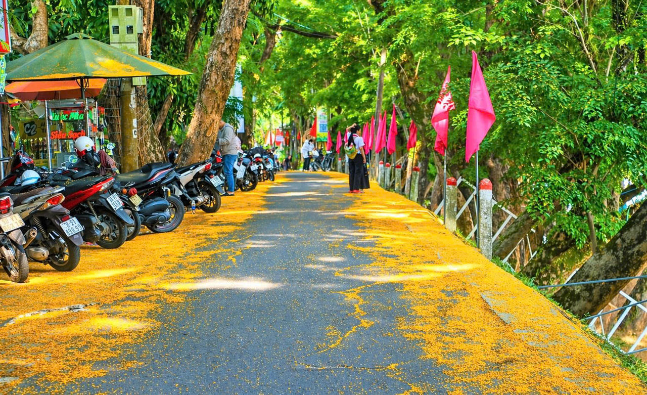 Rộn ràng sắc sưa Hương Trà- Đà Nẵng năm 2026