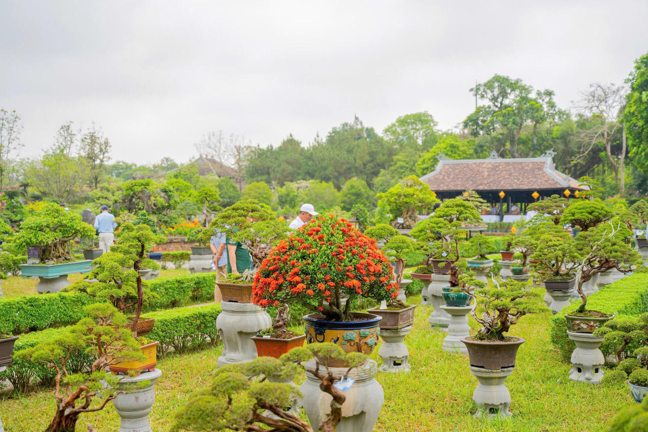 Triển lãm, trưng bày sinh vật cảnh ba miền tại Đại Nội Huế