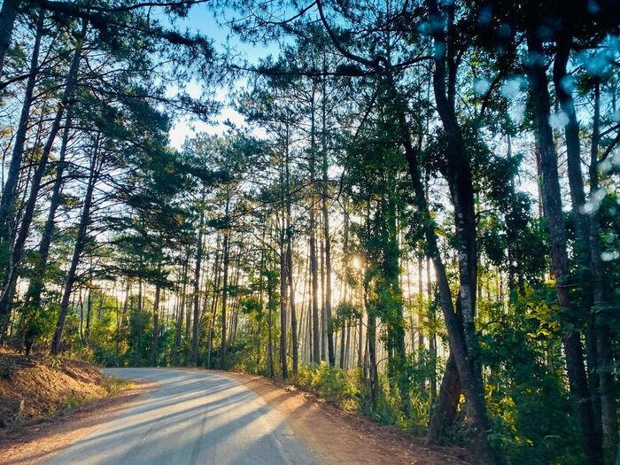 HĐND tỉnh Quảng Ngãi thông qua chủ trương chuyển đổi gần 83ha rừng sản xuất để thực hiện Dự án Khu đô thị số 1 Măng Đen, tổng vốn hơn 6.600 tỉ đồng, hướng tới phát triển đô thị du lịch - nghỉ dưỡng, chăm sóc sức khỏe và thúc đẩy kinh tế - xã hội khu vực phía tây tỉnh