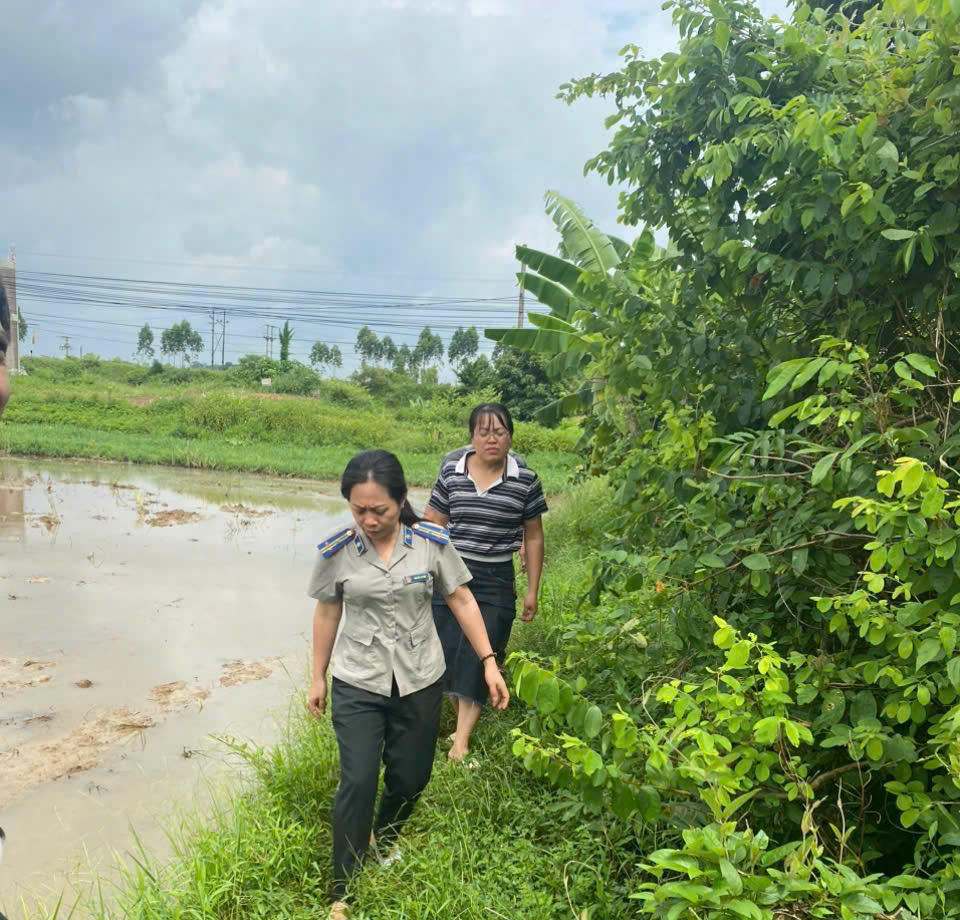 Để bản án không dừng lại trên giấy