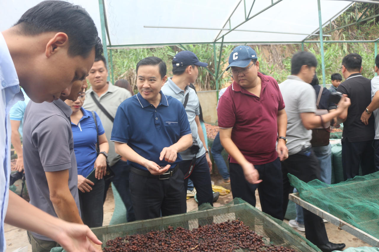 Kết nối trải nghiệm - đánh thức tiềm năng du lịch cộng đồng ở Quảng Trị