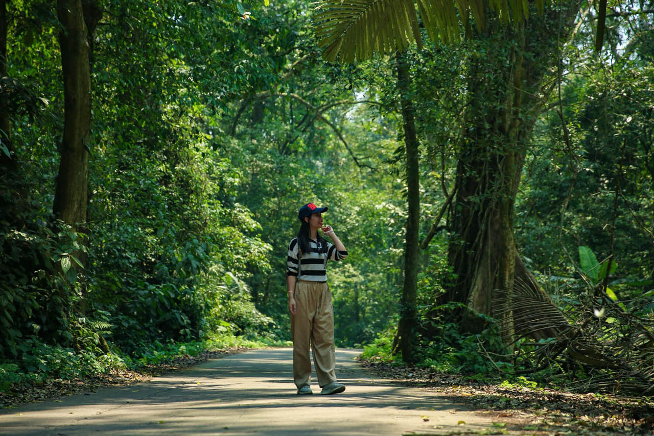 Vườn Quốc gia Cúc Phương (tỉnh Ninh Bình) luôn là điểm đến sinh thái hấp dẫn. (Ảnh: PV)