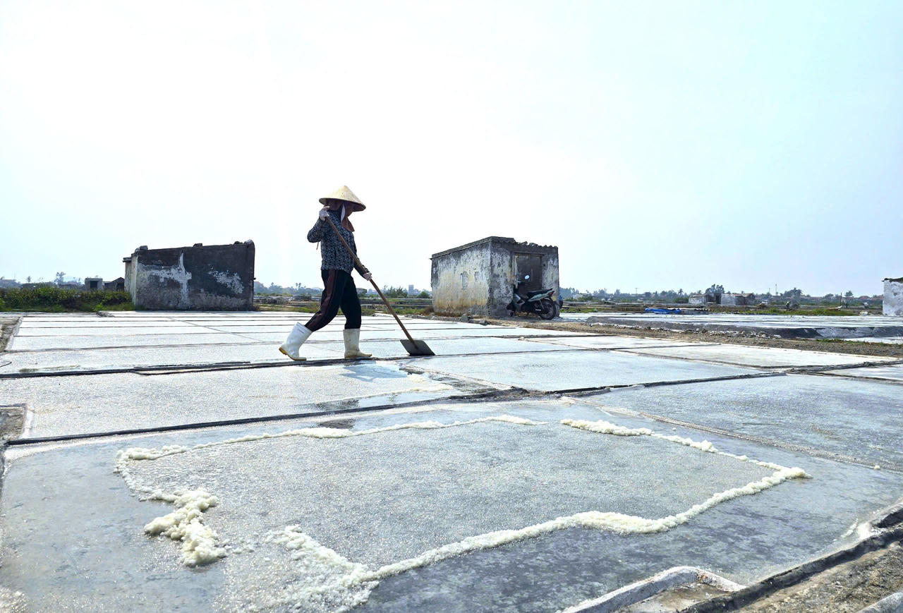 Diêm dân xứ Nghệ lặng lẽ “cướp nắng” mưu sinh