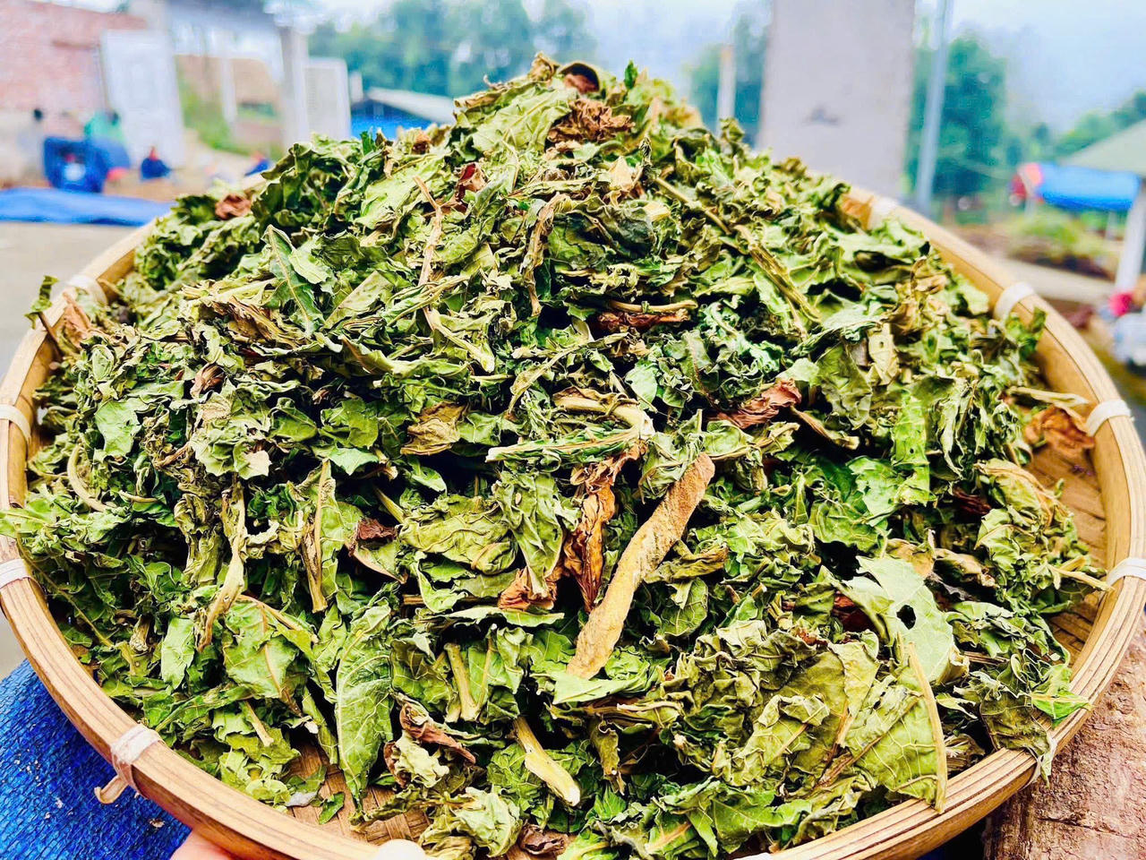 Lá đu đủ là một trong các thành phần thảo dược quý. (Ảnh: NVCC)